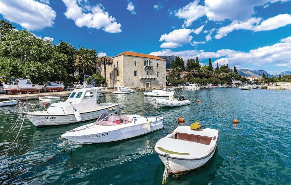 Aurora * Kastela